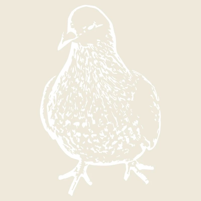 Vogel weiß