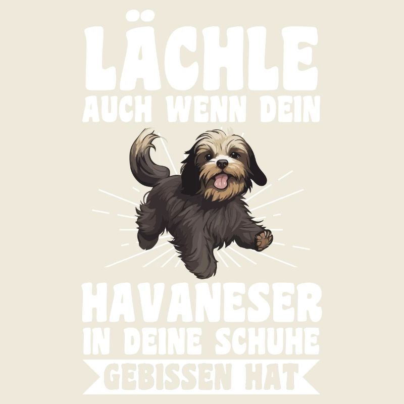 Hund Havaneser