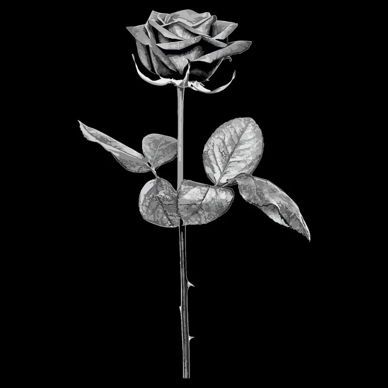 Rose en Noir - Blanc