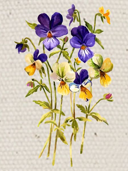 Fleur