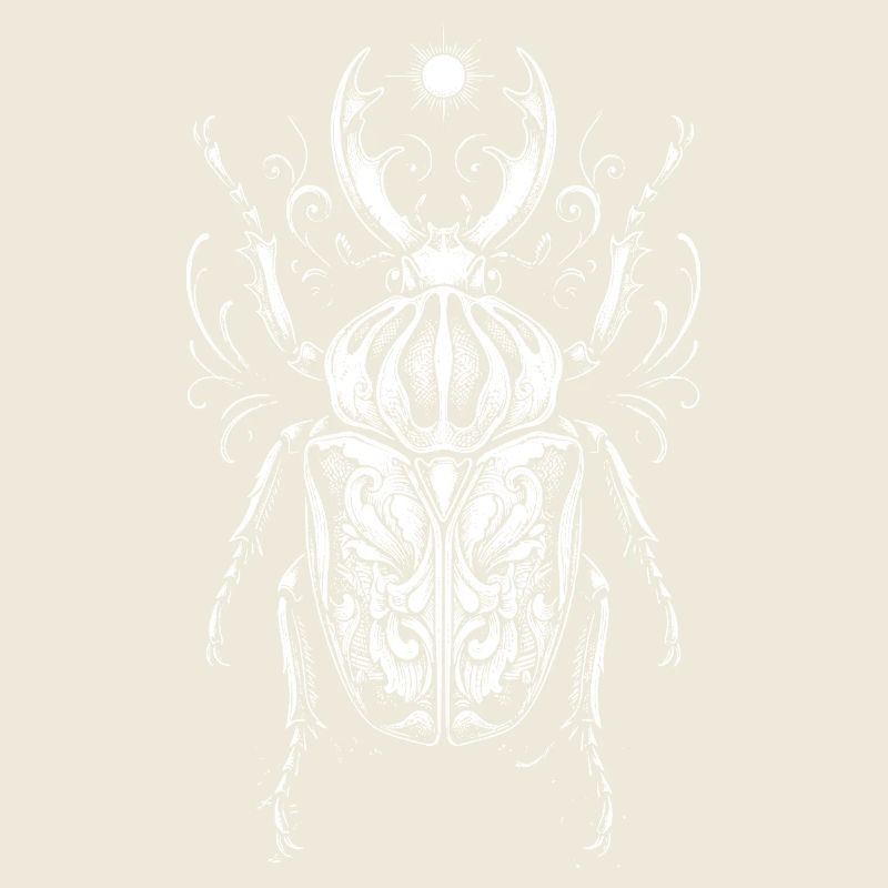 Conception anatomique des insectes