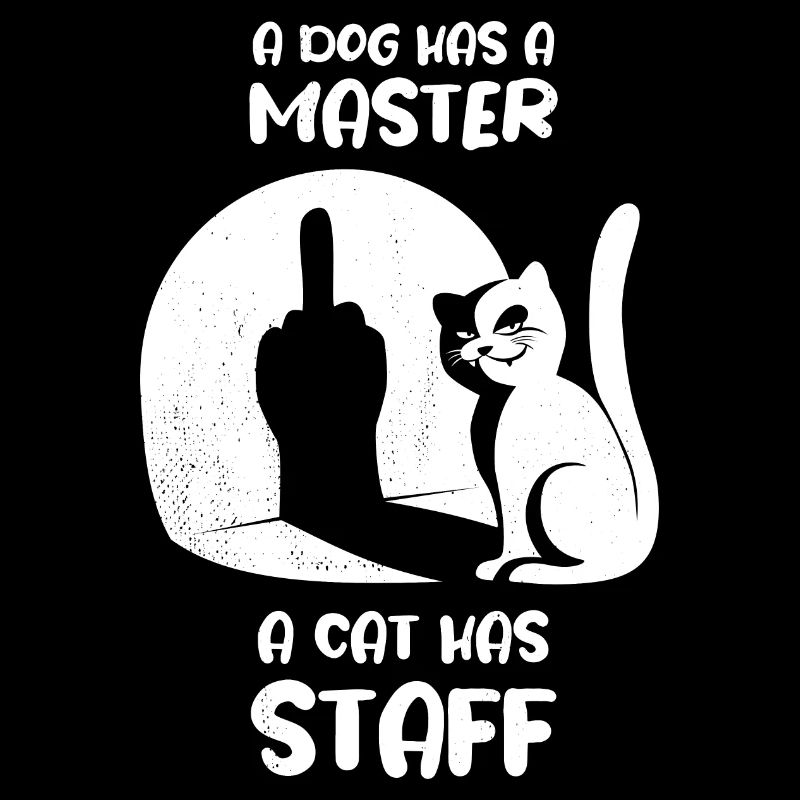 Un chien a un maître, un chat a un bâton - chat drôle