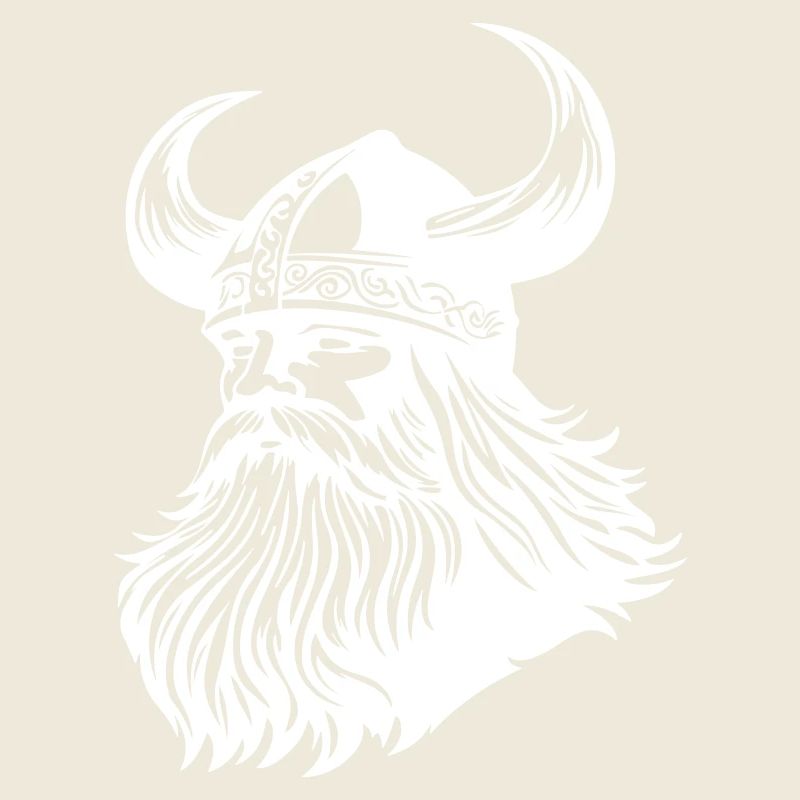 Wikinger Krieger Odin