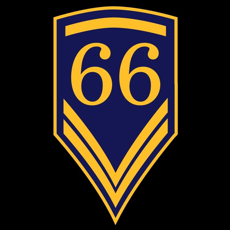 66