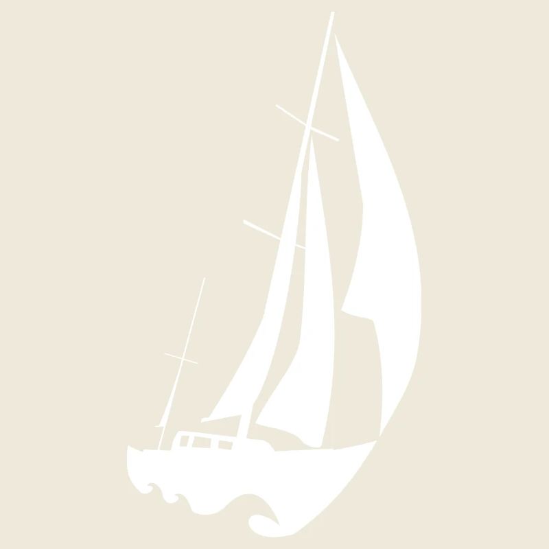 white fast sailing boat
