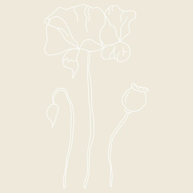 Coquelicot