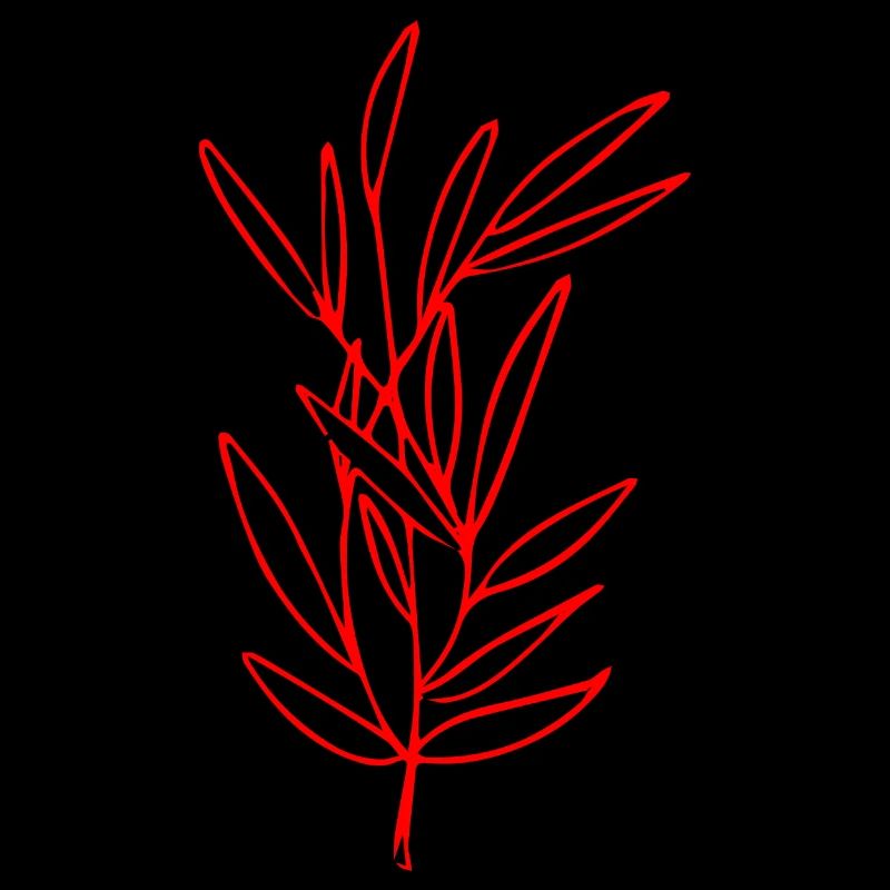 Flower Flower Plant