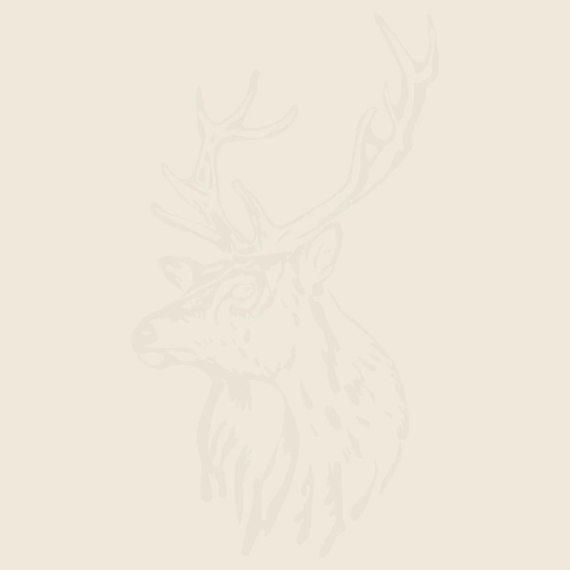 Tête de cerf [Blanc]