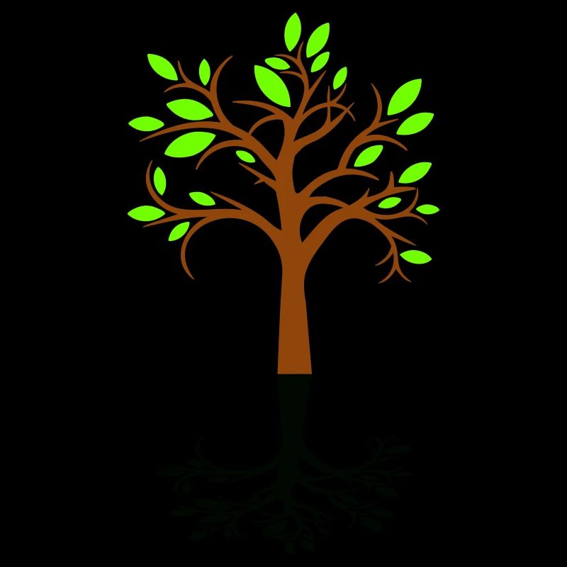 Beautiful Tree Forest Sapling Shadow Silhouette
