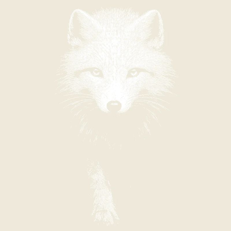Renard polaire
