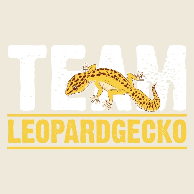 Eidechse Terrarium Reptilien Leopardgecko