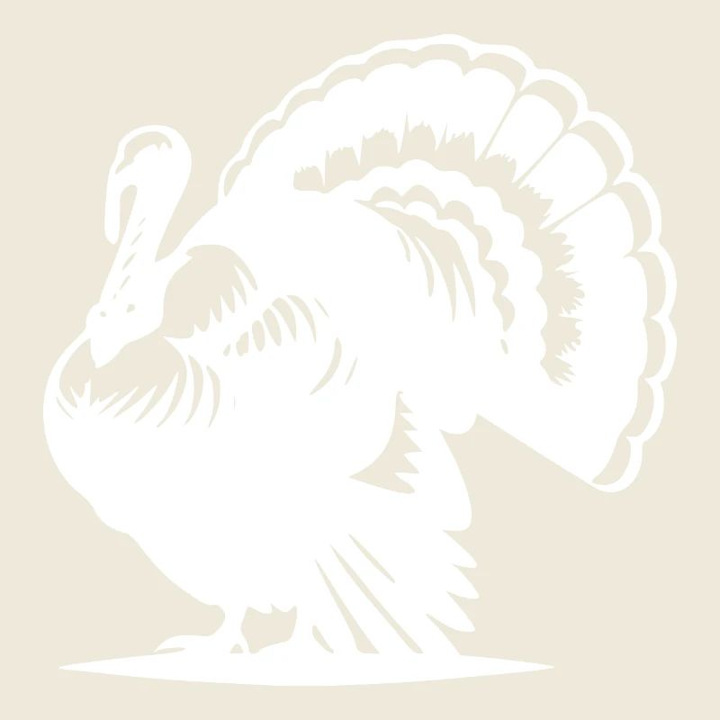 Drôle de volaille, dinde, plumage énorme