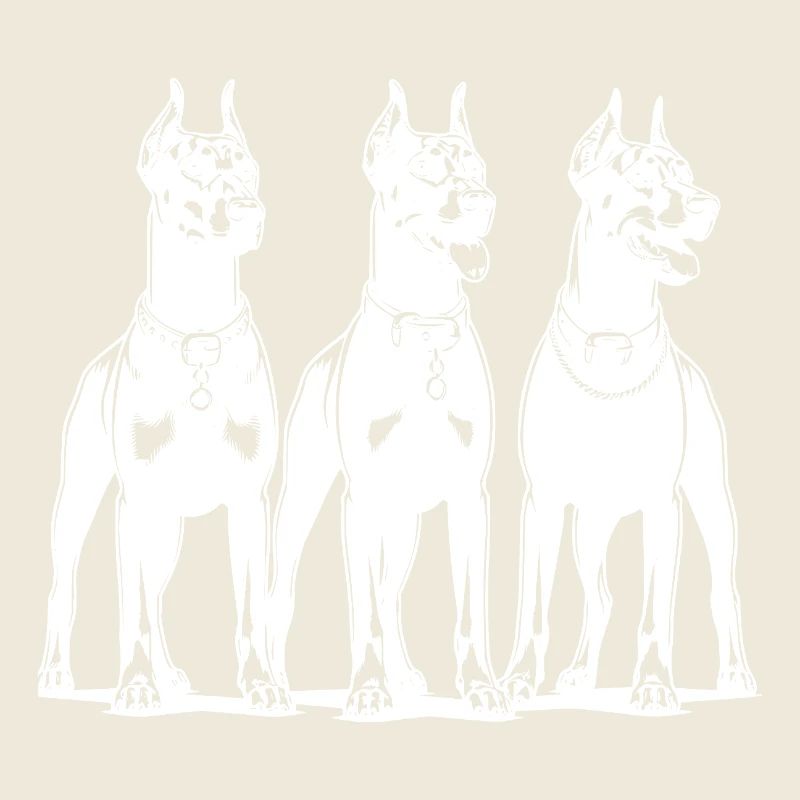 Drei schlaue wachsame Dobermänner Hunde