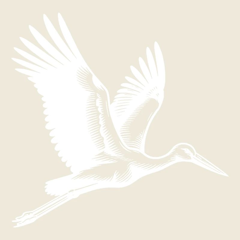 Elegant flying stork bird