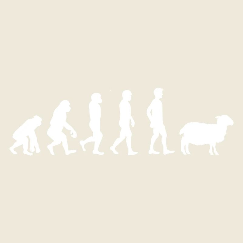 Evolution mouton
