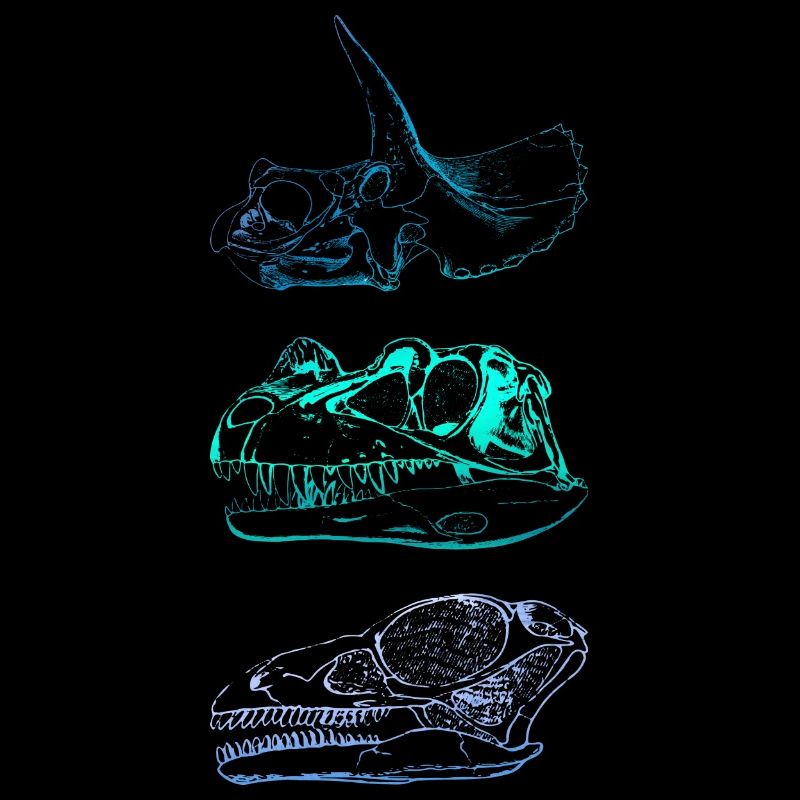 Crânes de dinosaures