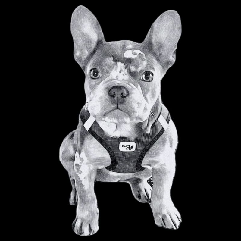 Carlos