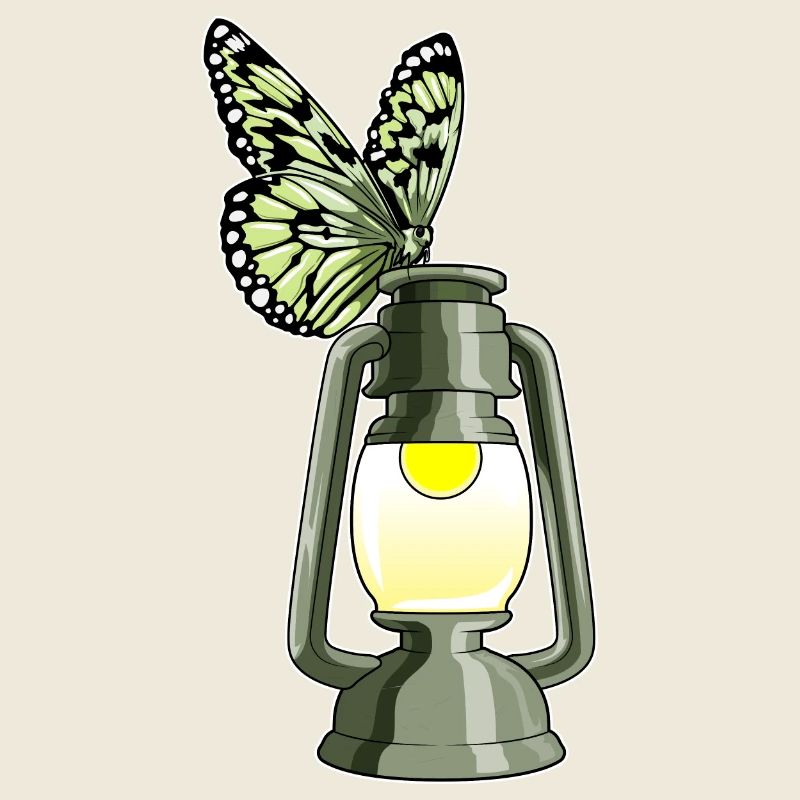 Schmetterling Laterne