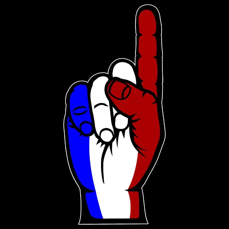 Drapeau de la France numéro 1 utilisé