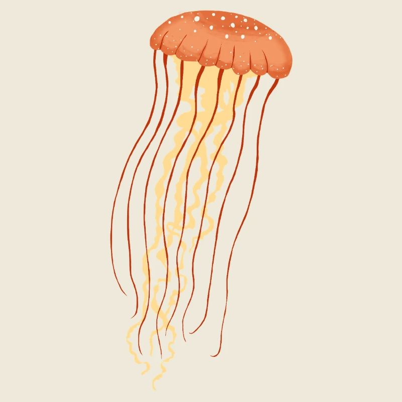 Jellyfish 2