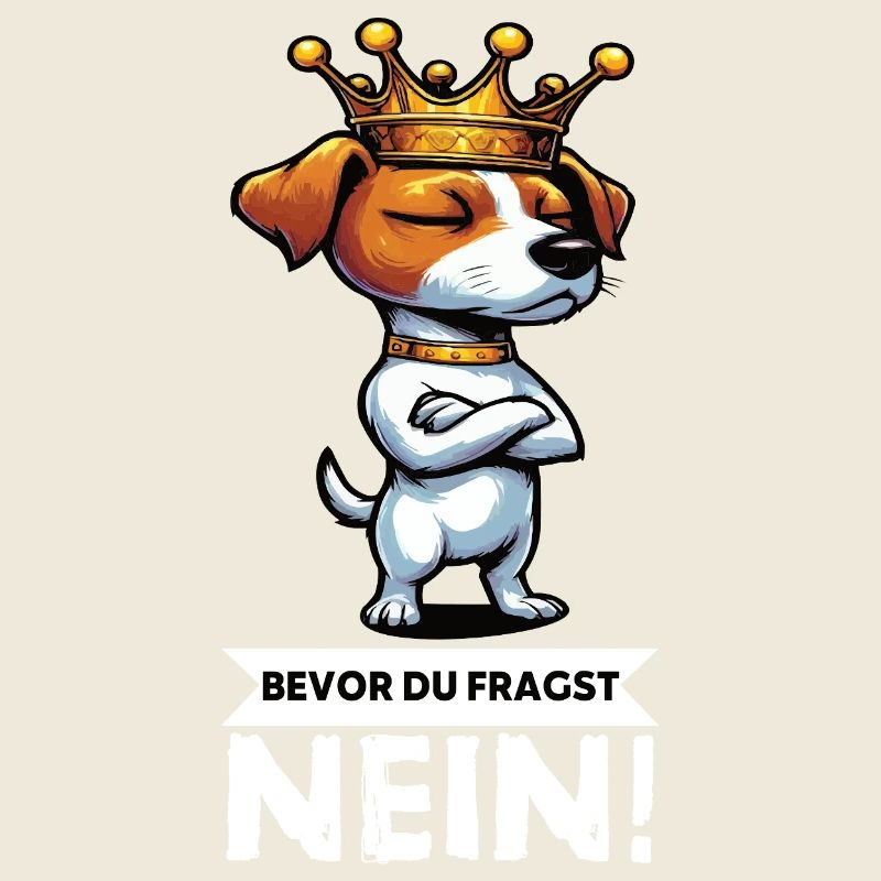 Bevor du Fragst Jack Russel terrier Jackie Terrier