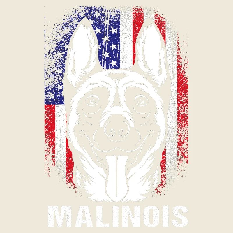 Belgian Malinois