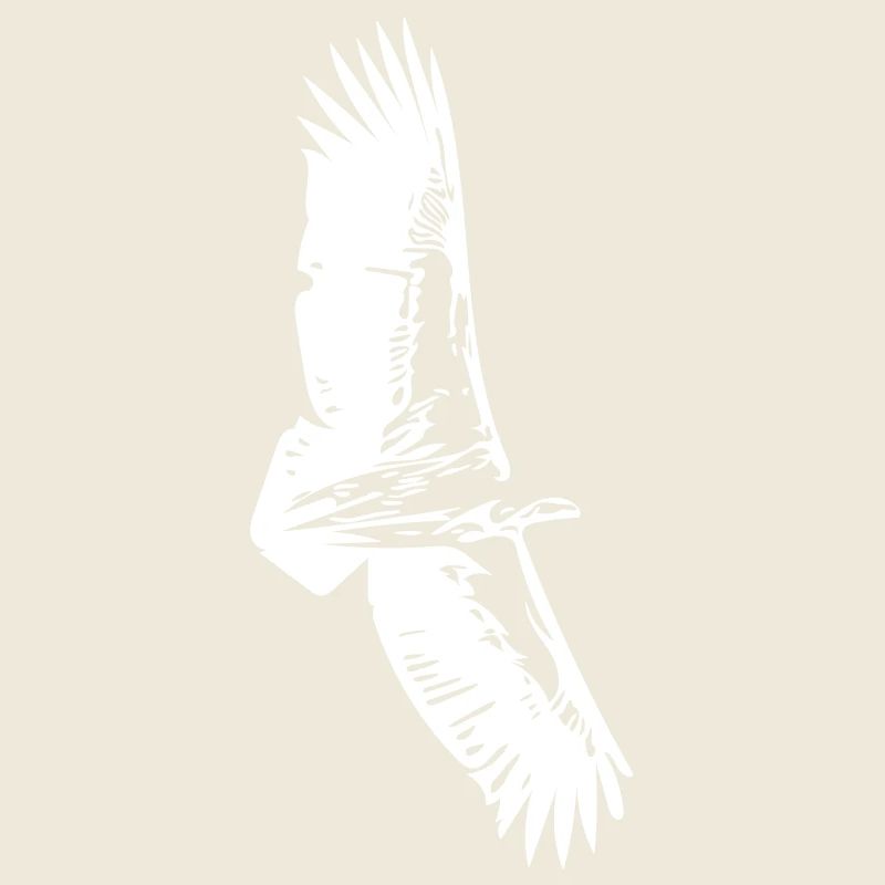 Vulture in flight