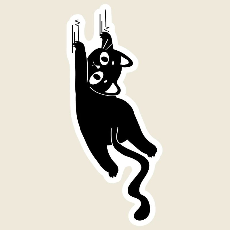 Chat qui gratte