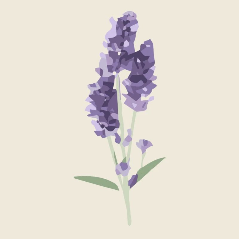 Lavendel