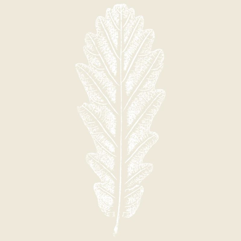 Oak Leaf / Leaves Imprint: