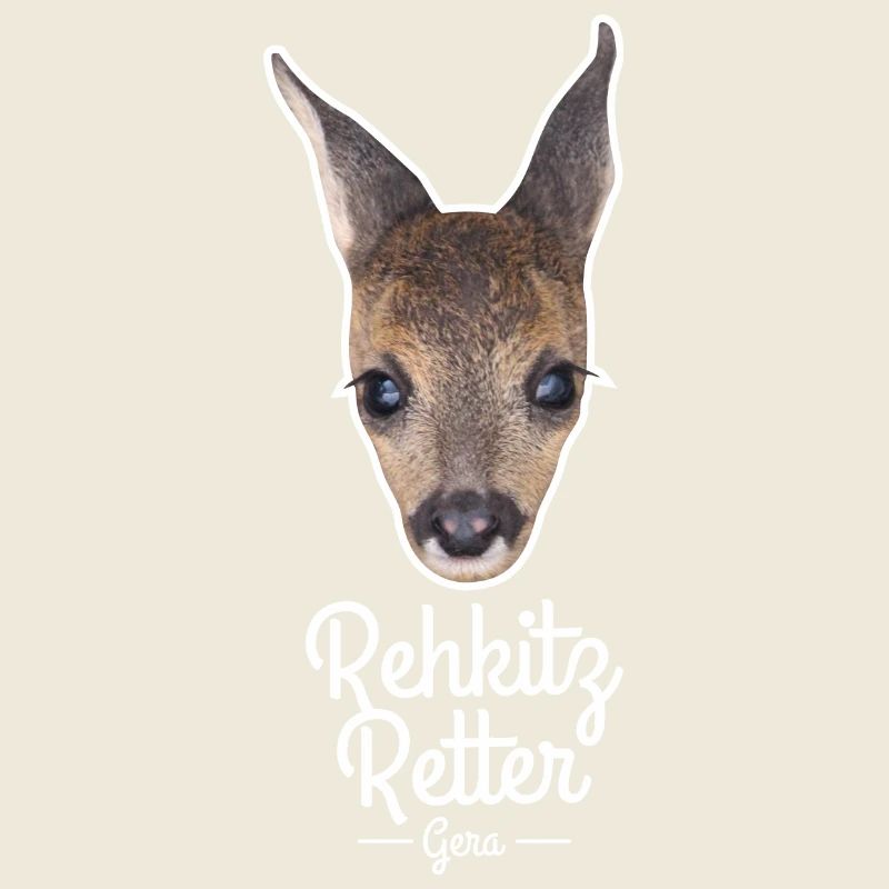 Rehkitz 1