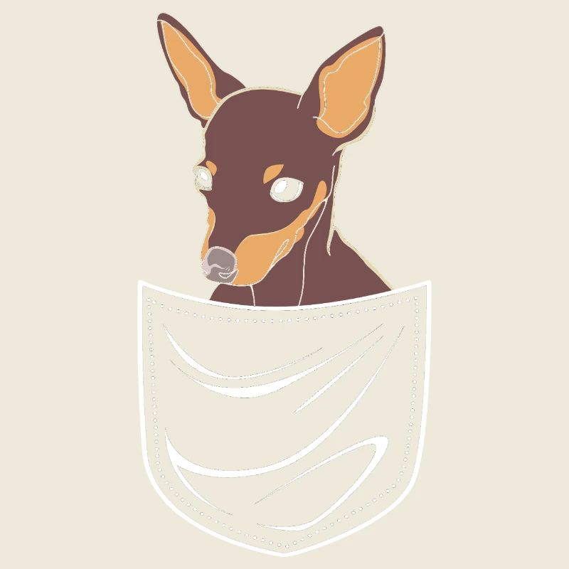 Pinscher nain