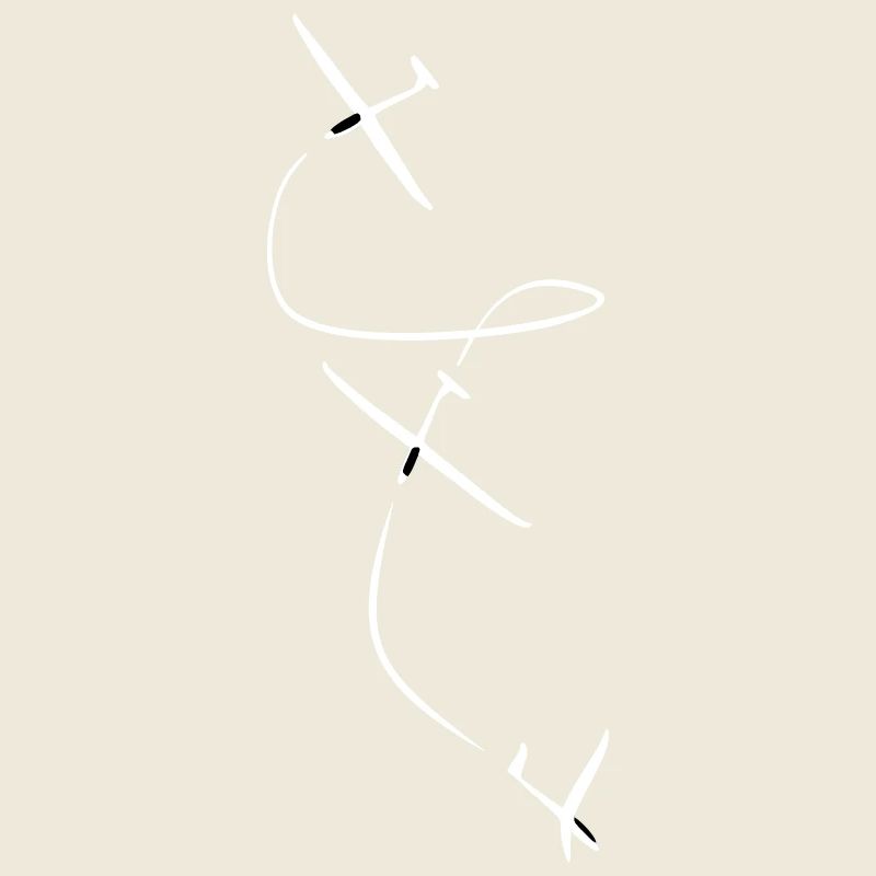 Glider Gliding Gliding Glider