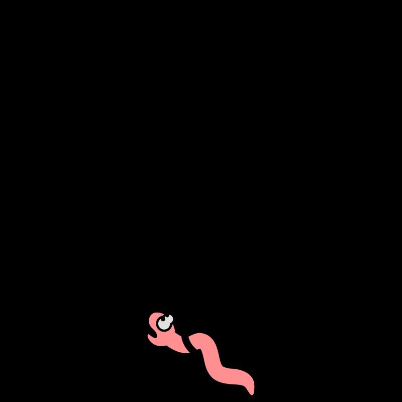 Worm On The Hook