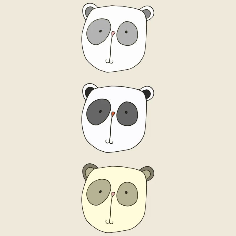 koala brüder