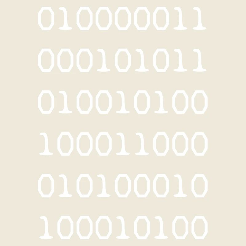 Binärcode weißer Webentwickler Humor lustig