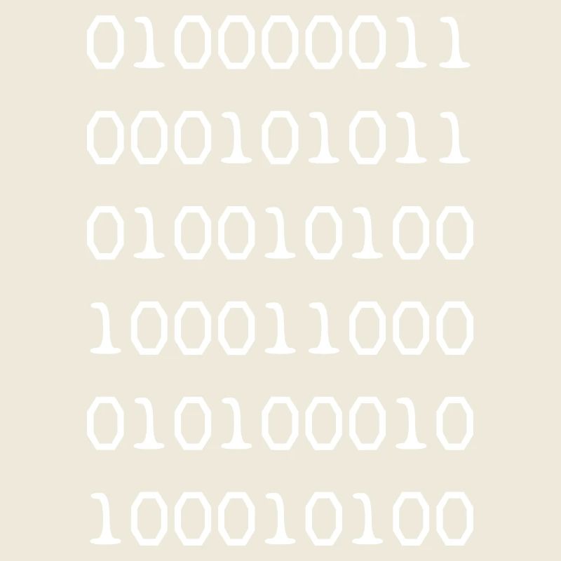 Code binaire blanc développeur web humour drôle