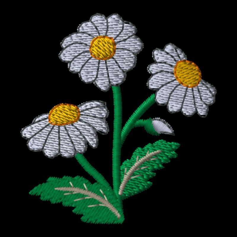 Gänseblümchen