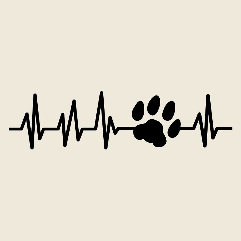 chat battement de coeur ECG patte amour amour