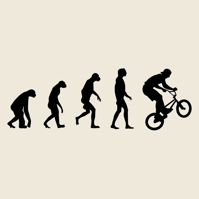 Evolution of BMX