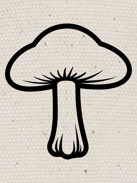 champignon