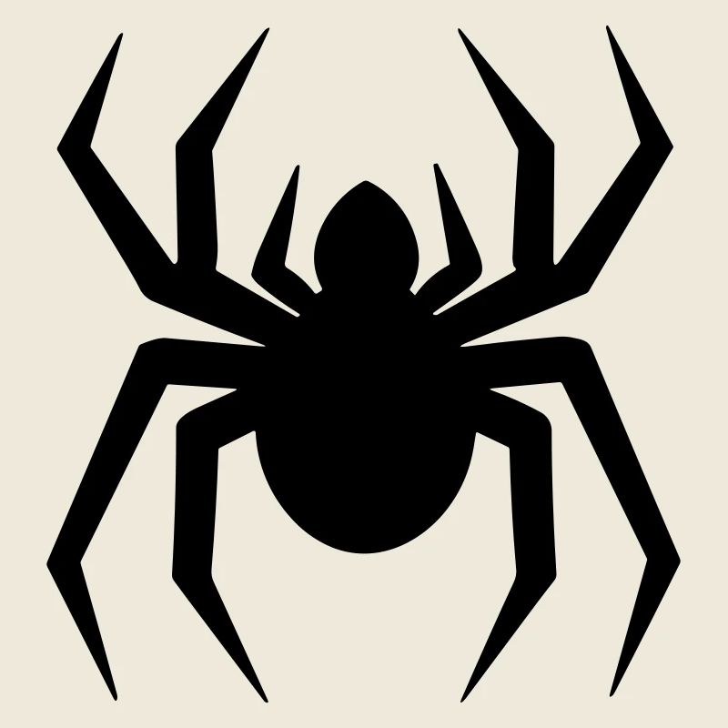 Spinne