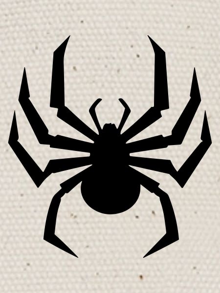 spider