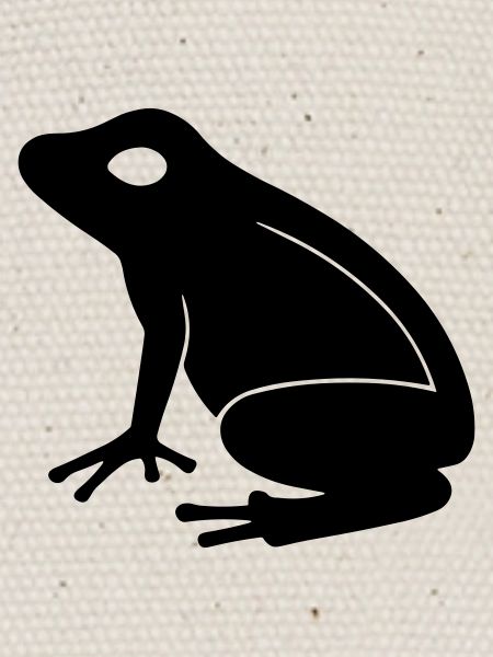 Grenouille