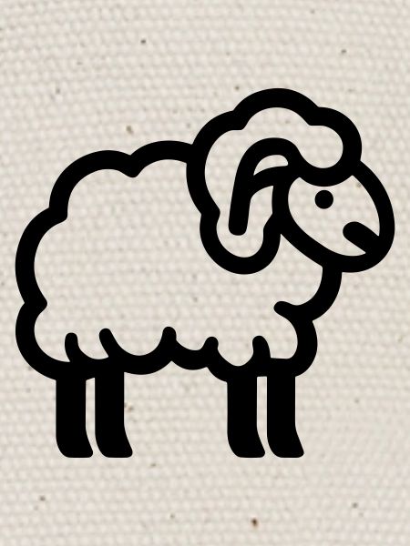 Schaf