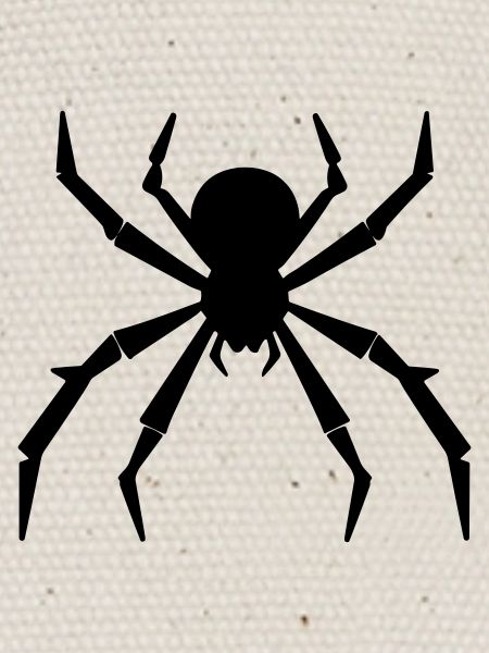 araignée