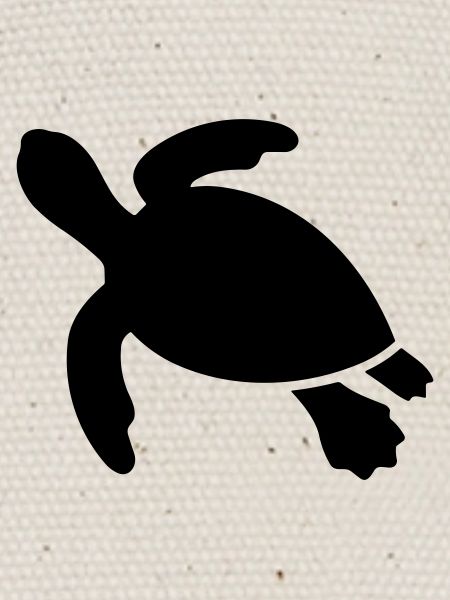 tortoise