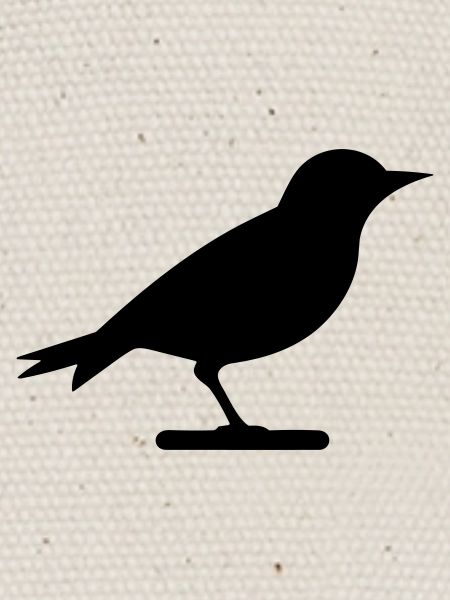 Oiseau