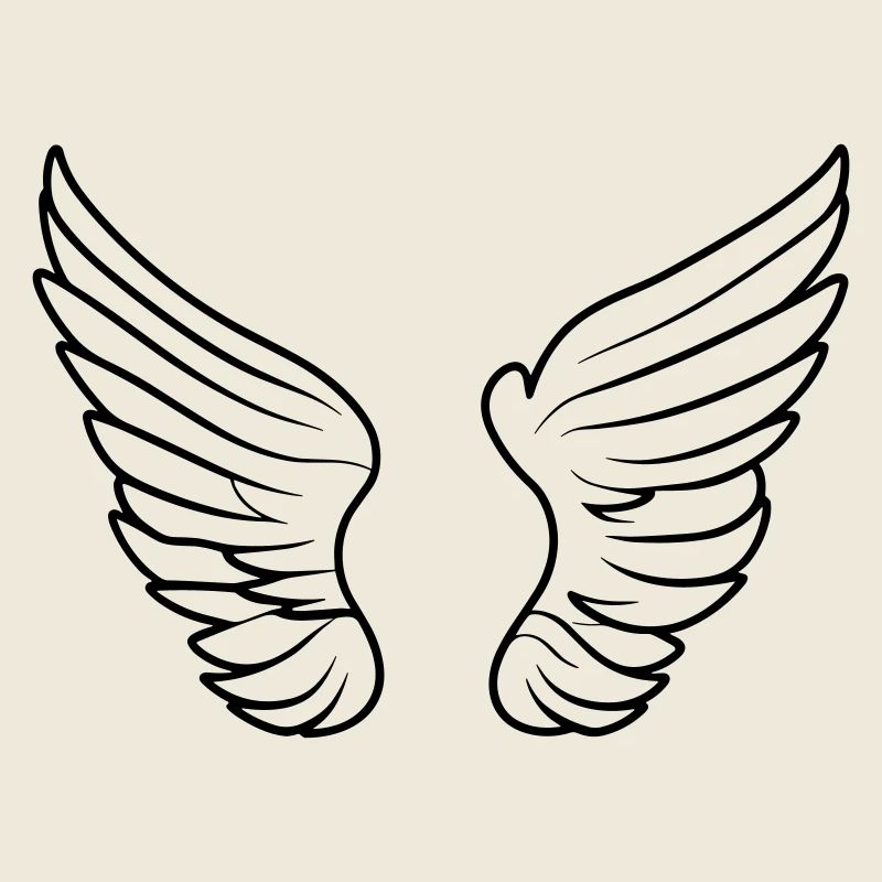 Ailes d'ange