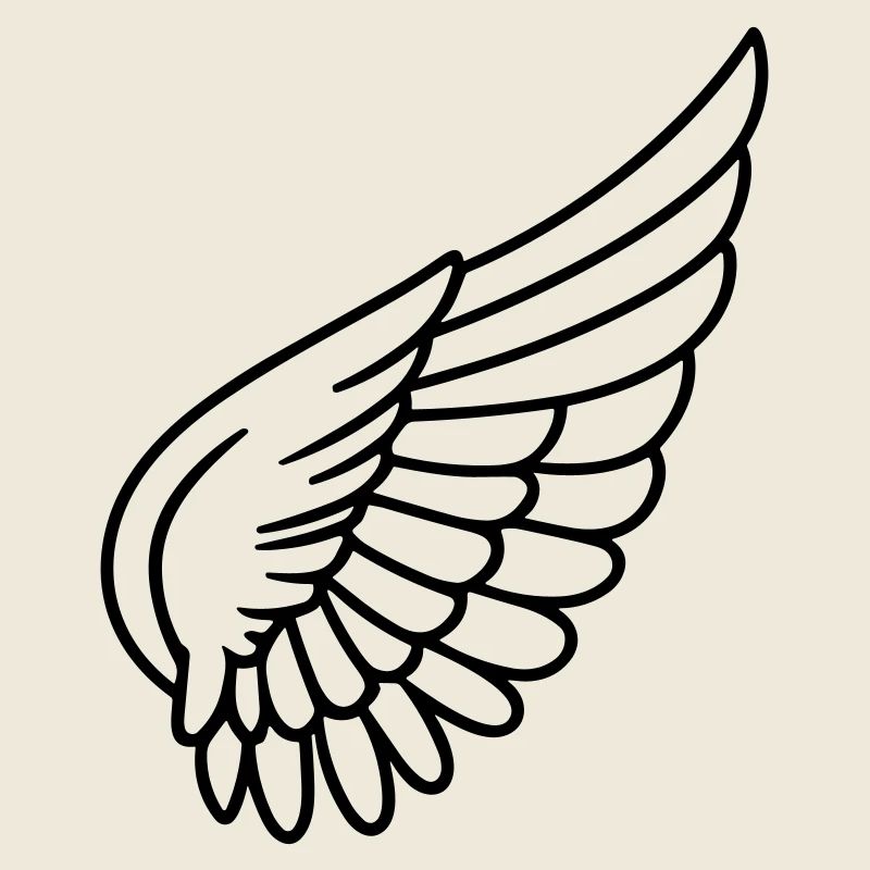 Ailes d'ange
